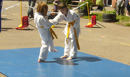 Demo 2011 self-defence